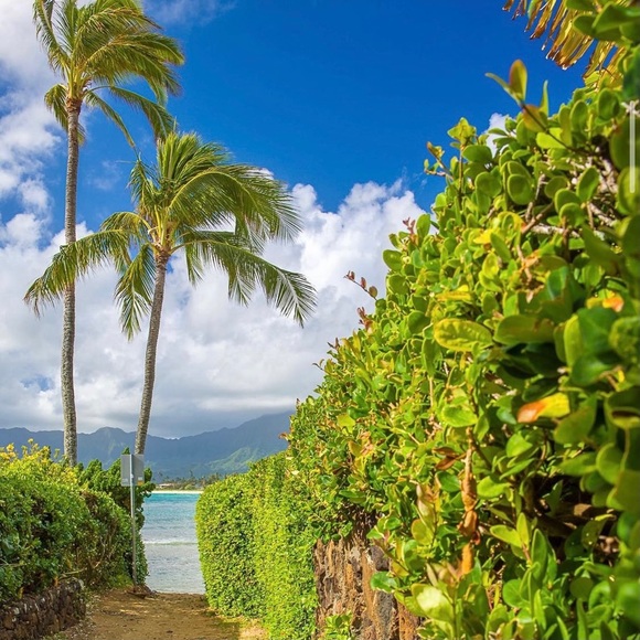 🎥 📹 🎥 📹 - Picture 3 of 3